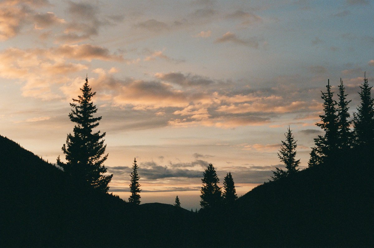 Been wanting to outlet some shots I've taken over the last couple of years so here's the start ! These are from a recent hike in the Nederland area . Locally developed at Not Another Film , best lab in town