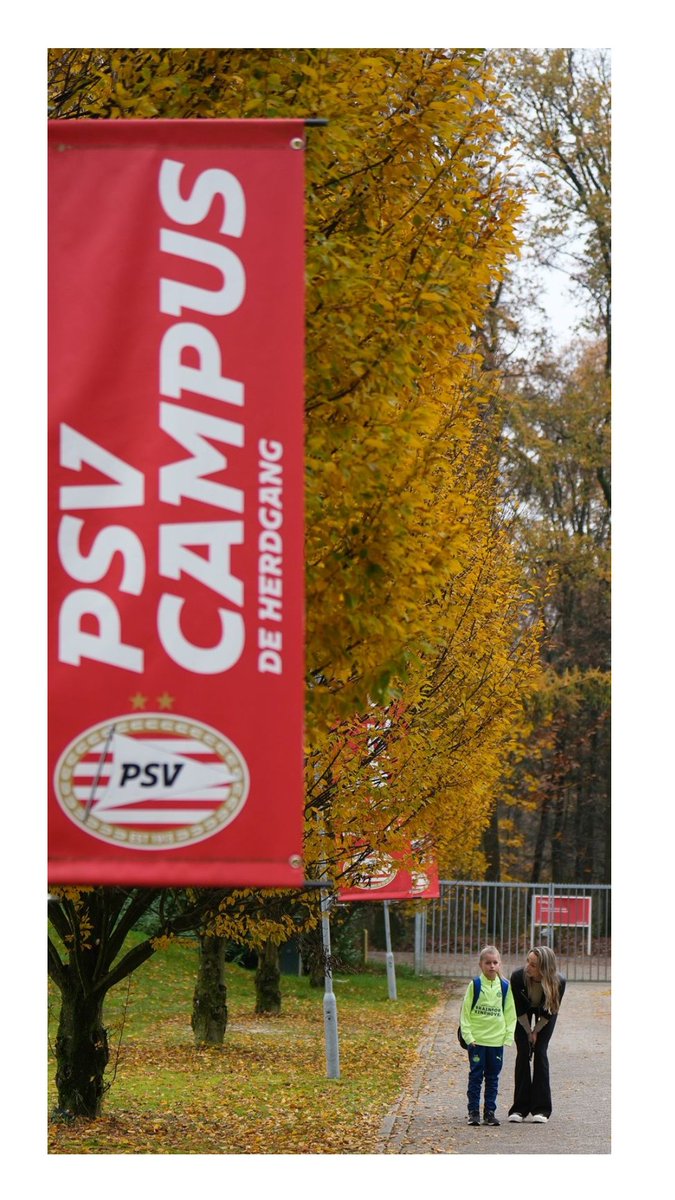 Kim van Lokven tweet media