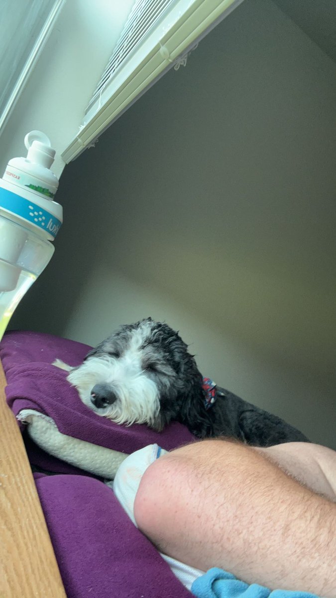 Nicklogs67's tweet photo. Happy Thanksgiving and Happy Birthday to the best pup around https://t.co/hhoV63MVvf