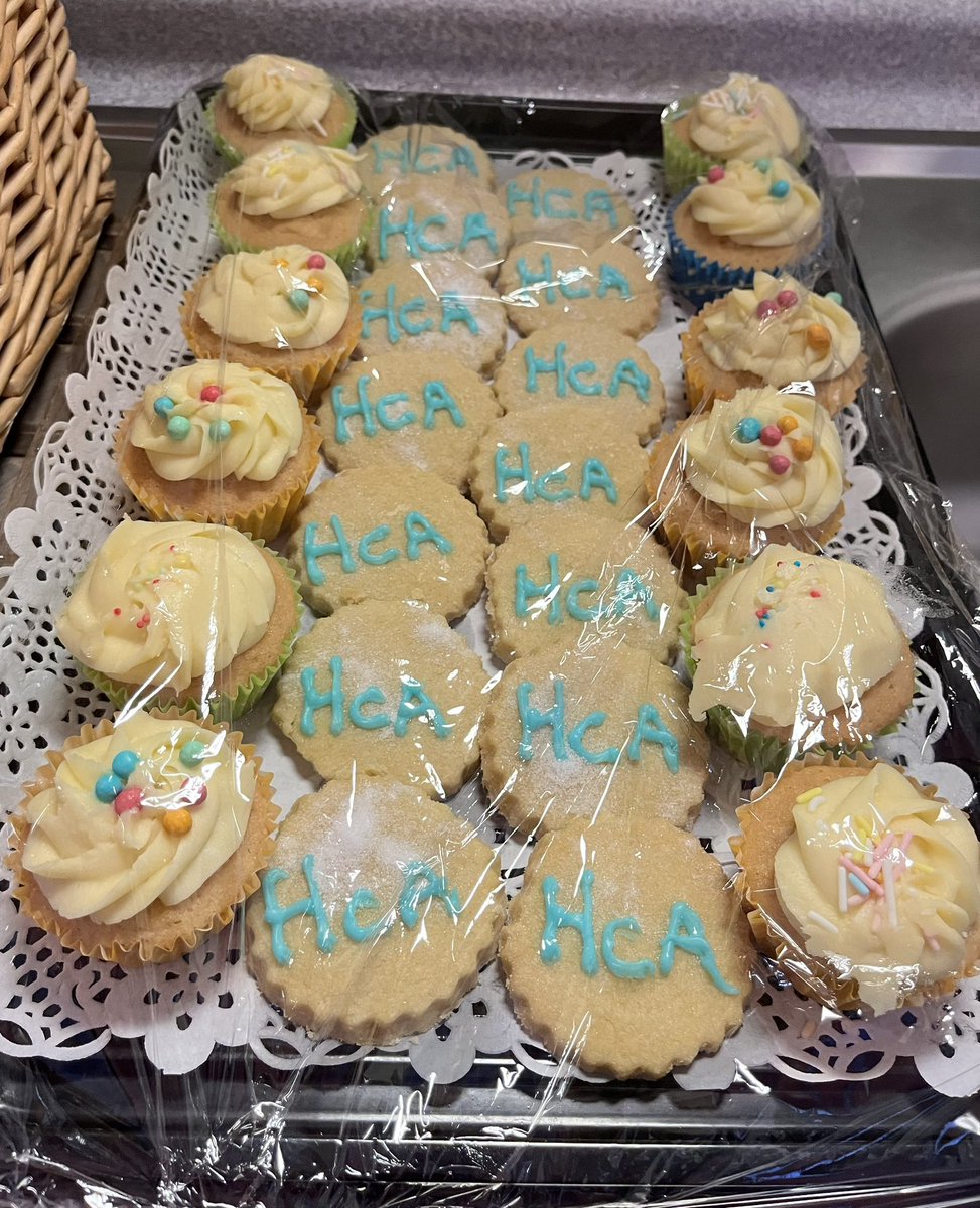 tamaly andrews tweet media