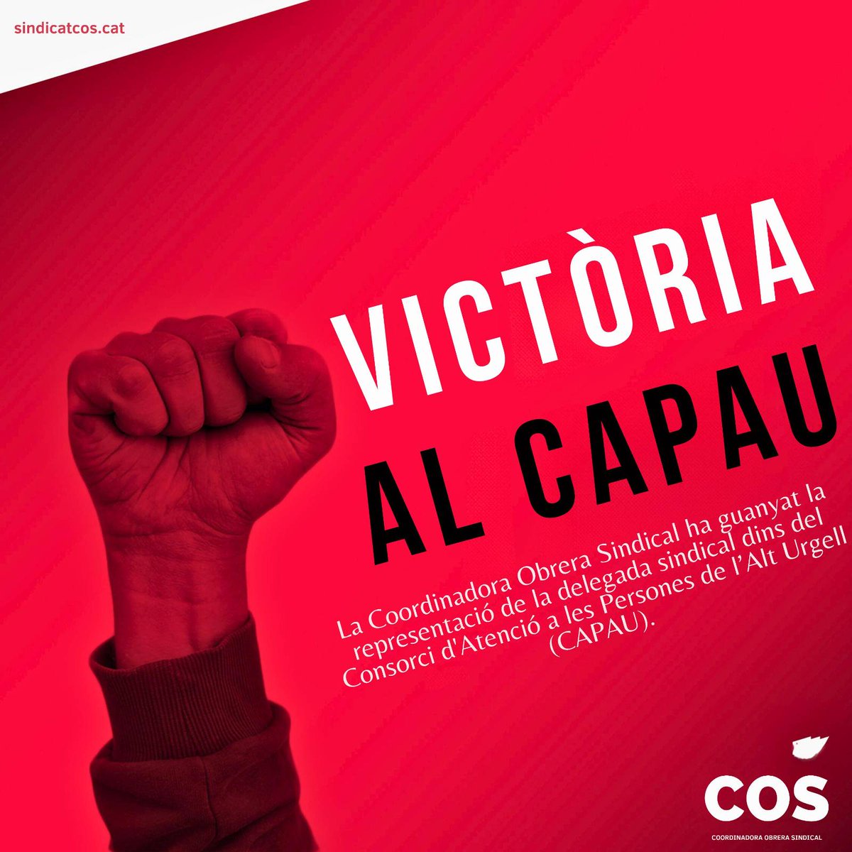 alt_cos's tweet photo. 📣Des de la Coordinadora Obrera Sindical de l'Alt Urgell celebrem la victòria de les passades eleccions sindicals del 20 de novembre, aconseguint la representació de la delegada sindical dins del Consorci d'Atenció a les Persones de l’Alt Urgell (CAPAU)✊
{FIL}👇 https://t.co/2e92jqCQmv