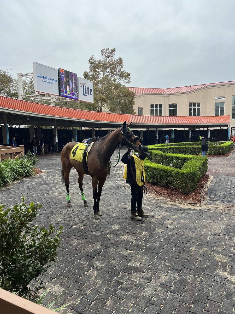 Bammm Stables (@bammmstables) on Twitter photo Keys Included making BAMMM’s first start of the meet set to run in the 2nd <a href="/fairgroundsnola/">Fair Grounds Race Course & Slots</a>. Serafin Carmona aboard! Keys Included making BAMMM’s first start of the meet set to run in the 2nd <a href="/fairgroundsnola/">Fair Grounds Race Course & Slots</a>. Serafin Carmona aboard!