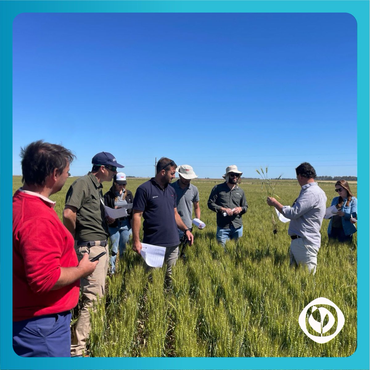 ¡AAPPCEenTuZona no para! 🔛 Esta vez en la 📍 localidad de Tres Arroyos .

Integrantes del Nodo AAPPCE Sureste de Bs. As  recibieron a asesores y productores para recorrer ensayos de fungicidas en #trigo.

Quedate atento, el próximo encuentro puede ser en tu zona. 😉