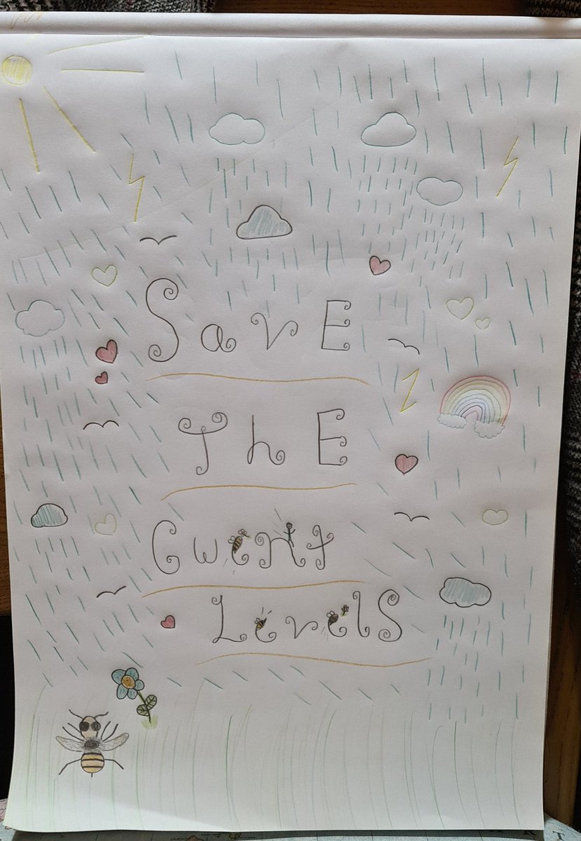 Budding artist, 9 yr old Lilly has created a wonderful piece of artwork to help bring awareness to #savethegwentlevels. Look at that amazing shrill carder bee detail! 🐝