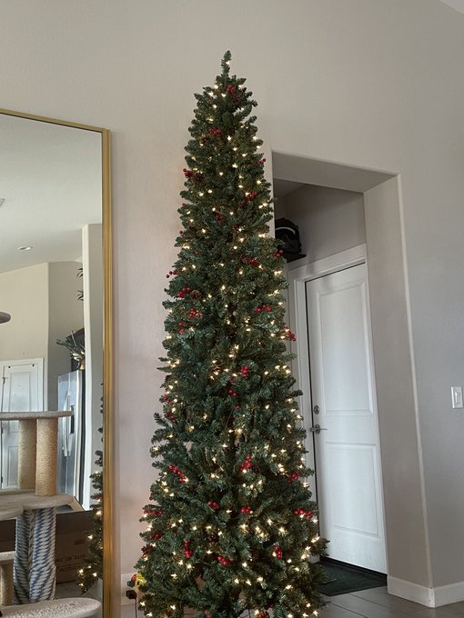 Nine feet tall! 💪🥰 https://t.co/Fnh4ESZfvH