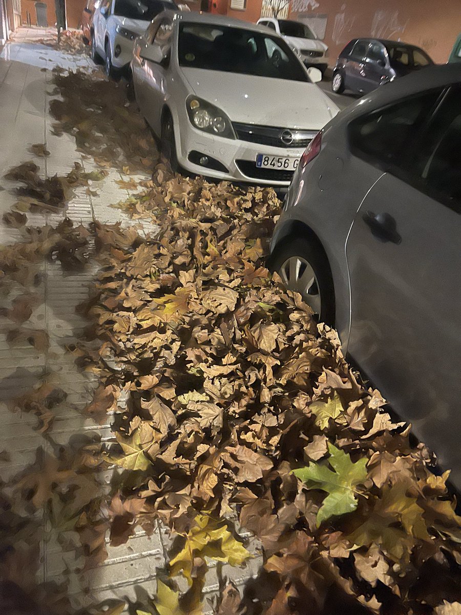 bego19761's tweet photo. #sansequejas me encanta el otoño! Aunque sea peligroso e incómodo. Sobretodo para los carritos y personas con movilidad reducida https://t.co/FJTEvcF8yQ
