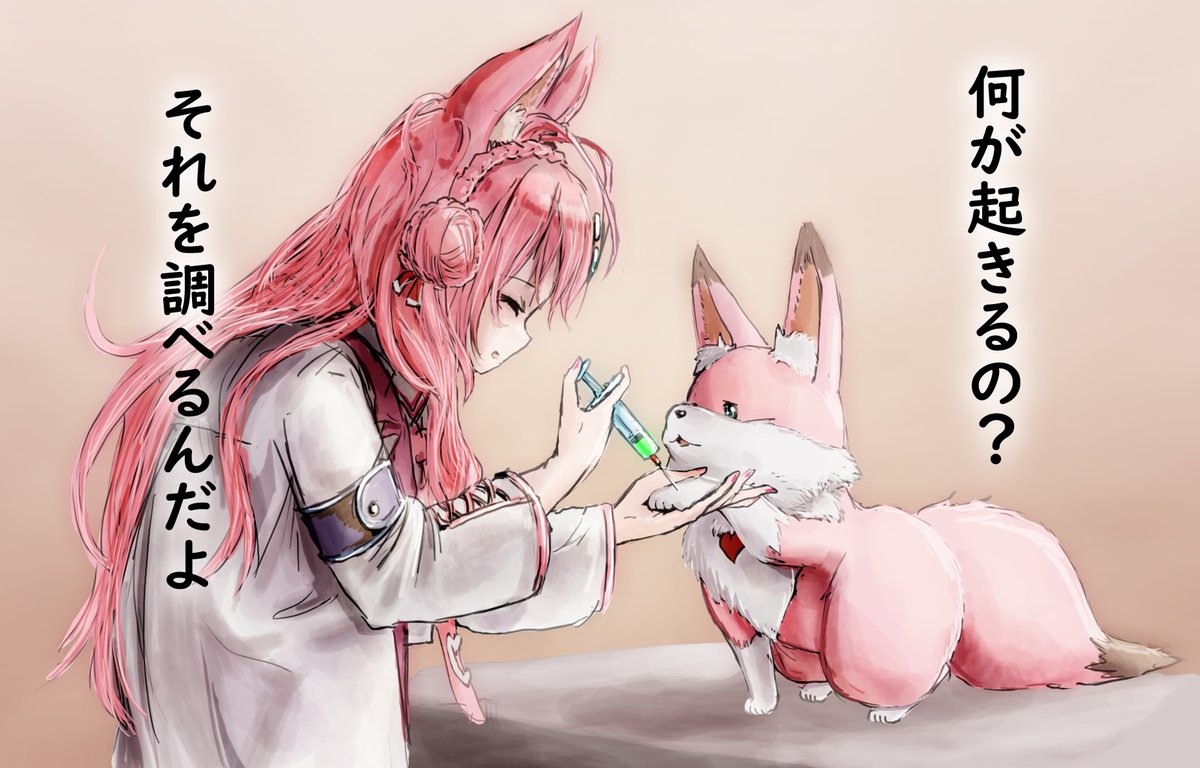 hakui koyori ,hakui koyori (1st costume) 1girl animal ears pink hair hair bun crown braid wolf ears long hair  illustration images