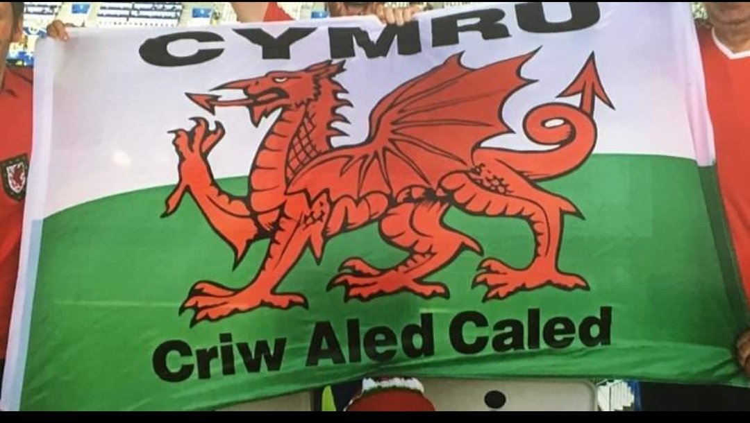 Can you help this lad?
He lost this Wales flag which belongs to him and his late dad in the game vs Turkey 
It has been with me since Dad and I went to the Euros in 2016 and I’m desperate to find it, especially after losing Dad this year,if anyone finds it get in touch