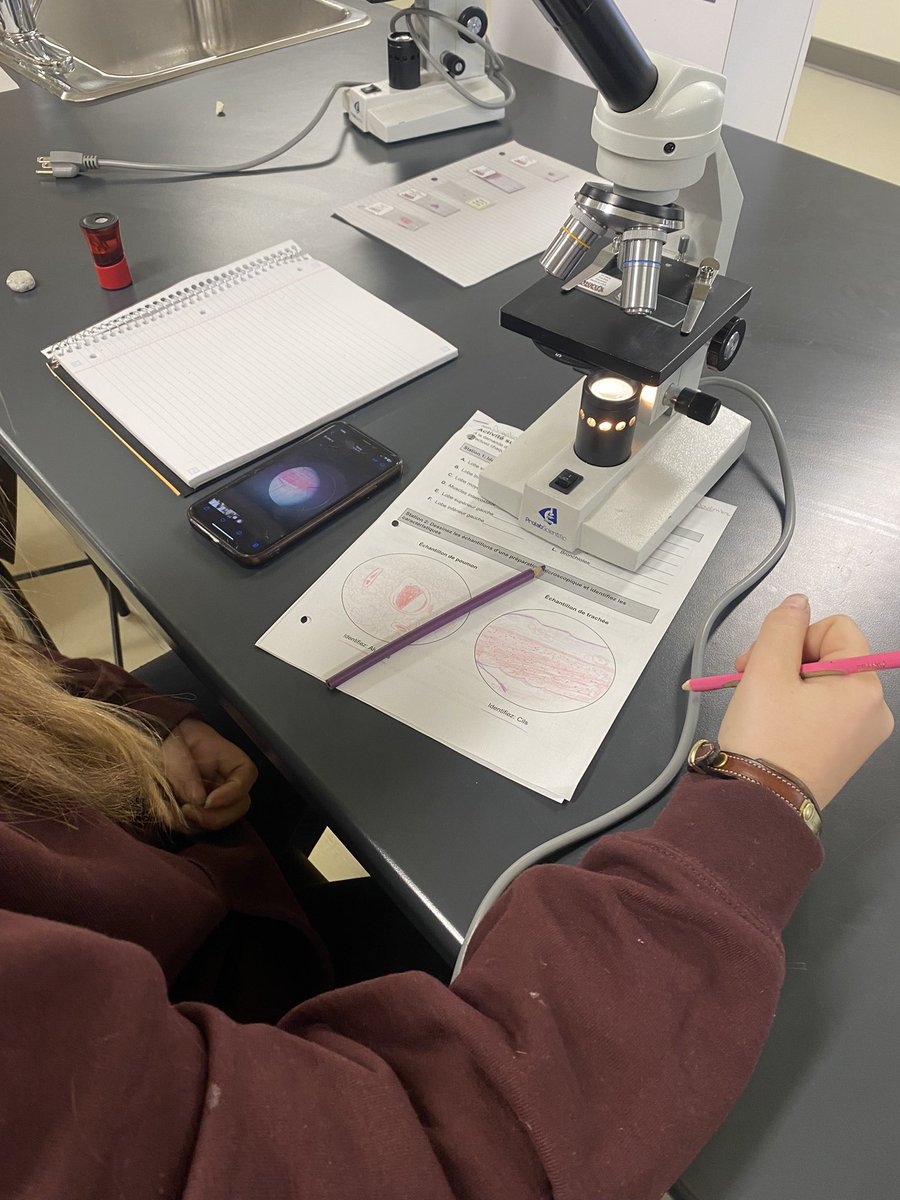 EmWilliams5's tweet photo. Exploration de l’anatomie et de la physiologie du système respiratoire aujourd’hui avec les élèves de #SBI3U!  @acnotredame https://t.co/IGtw0tBu6m