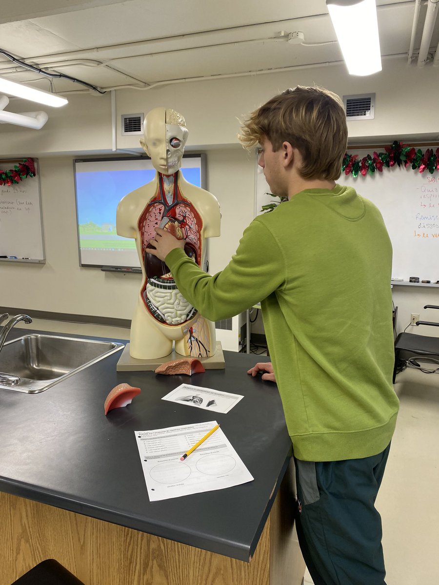EmWilliams5's tweet photo. Exploration de l’anatomie et de la physiologie du système respiratoire aujourd’hui avec les élèves de #SBI3U!  @acnotredame https://t.co/IGtw0tBu6m