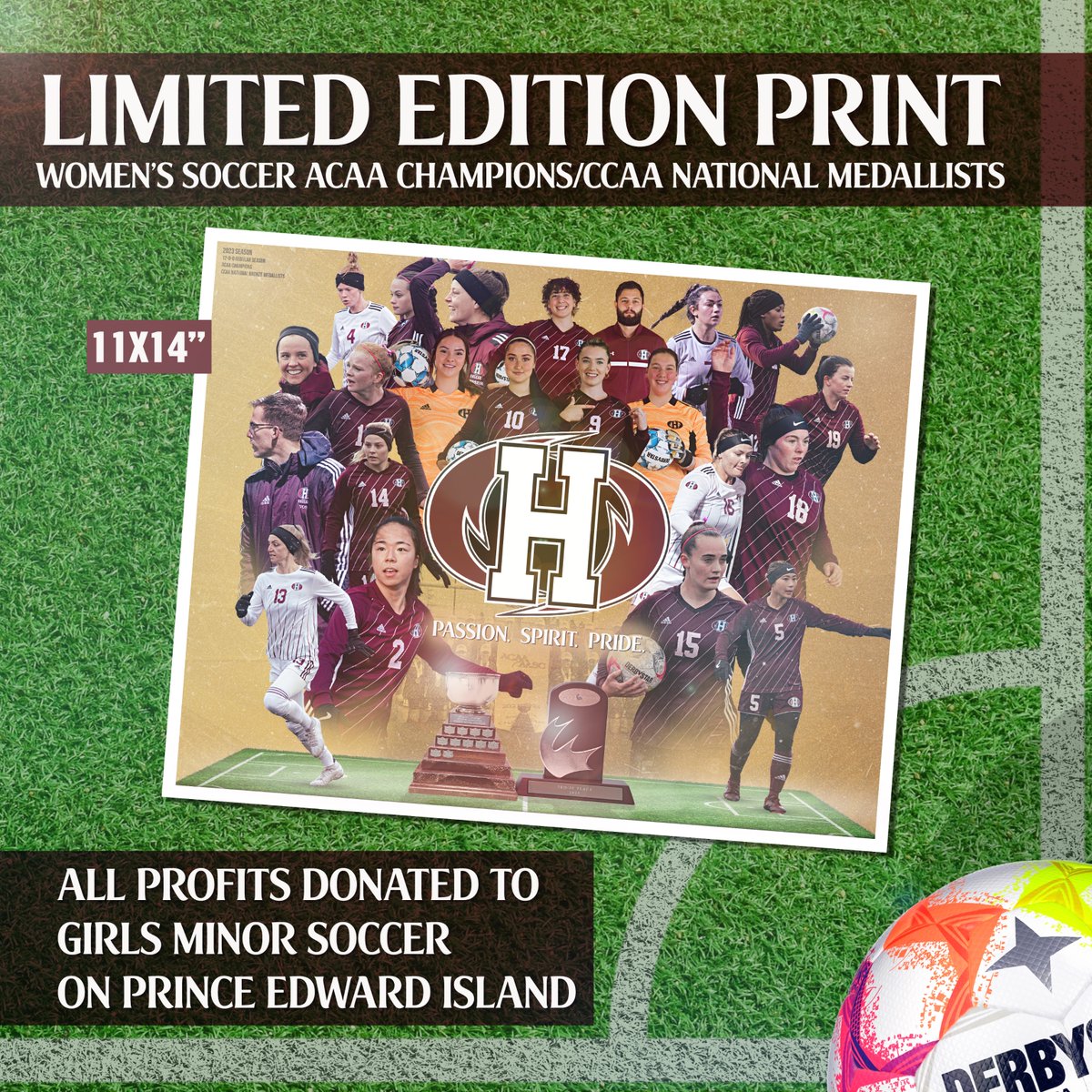 Holland Hurricanes tweet media