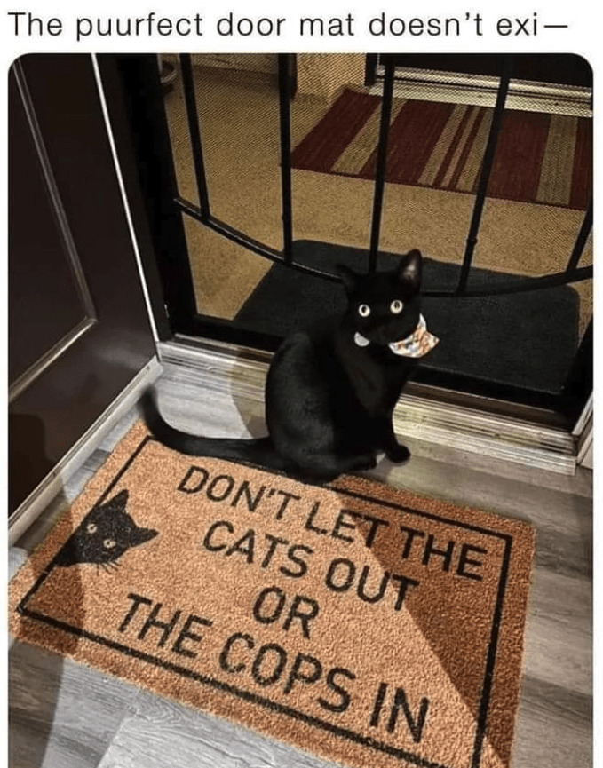 WholesomeMeme's tweet photo. https://t.co/TZe1qSctYy