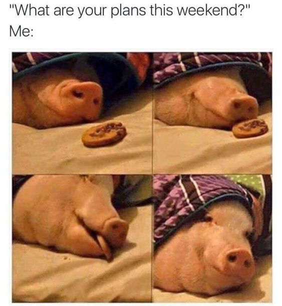 WholesomeMeme's tweet photo. https://t.co/gvh34HYsJz