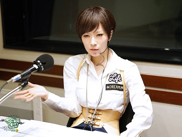 FLEET ILYA フリートイリヤ ハーネスコルセット 黒 Sサイズ 椎名林檎 F_o93AgbEAAAnBc?format=webp&