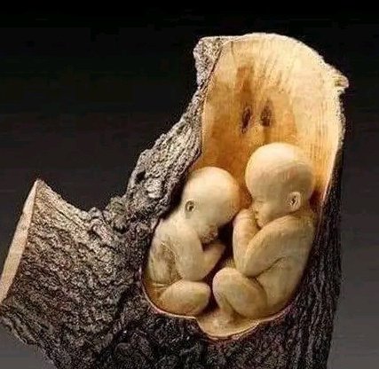 #صورة_ملف_شخصي_جديدة