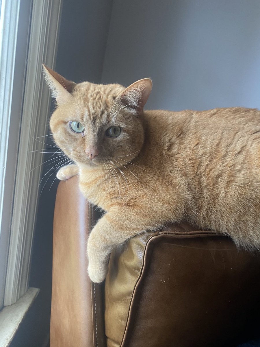 RobJob76's tweet image. #FDB if you know you know