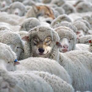 El riesgo de “personalizar” la crítica (aunque hay individuos detestables) es que frecuentemente obtura la crítica al sistema que los sustenta además de invisibilizar las maneras para derrotarlos. Es crucial habilitar métodos de crítica integral que transparente su circo completo