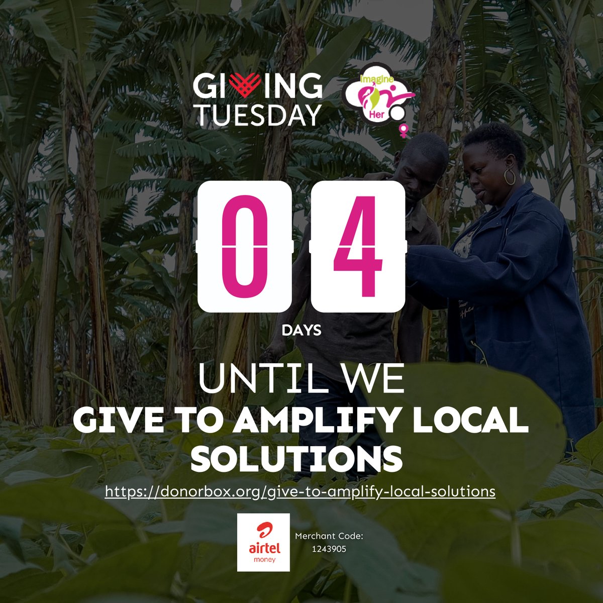 📢Save The Date! Nov 28 is #GivingTuesday. Support Our Community Coaches and be a part of investing in solutions to solve global challenges of climate change, food insecurity & poor housing Donate here: donorbox.org/give-to-amplif… #ImagineHer #GetReadyToGive #SupportOurWork