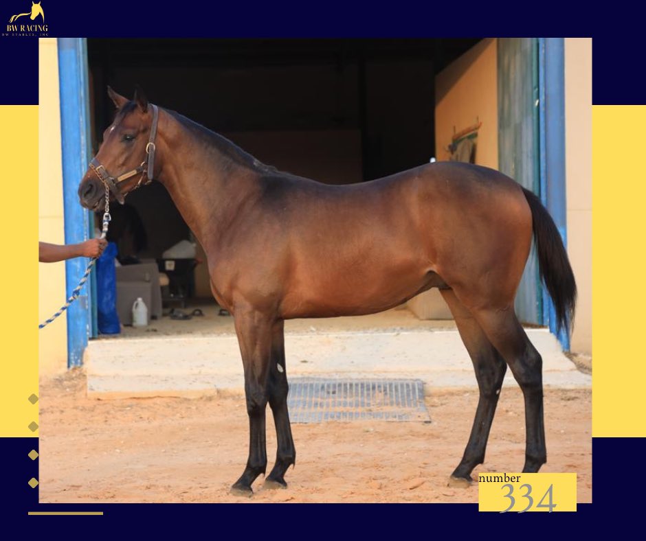 BW RACING tweet media