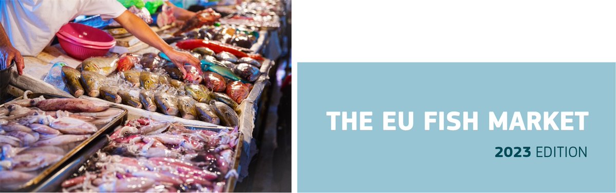 The 🆕 EU Fish Market Report 🇪🇺 is out!

Discover the comprehensive analysis of the EU #fisheries &amp; #aquaculture industry made by the European Market Observatory for Fisheries and Aquaculture #EUMOFA.

Check out the highlights of the 2023 edition 👇
europa.eu/!8nx4gV