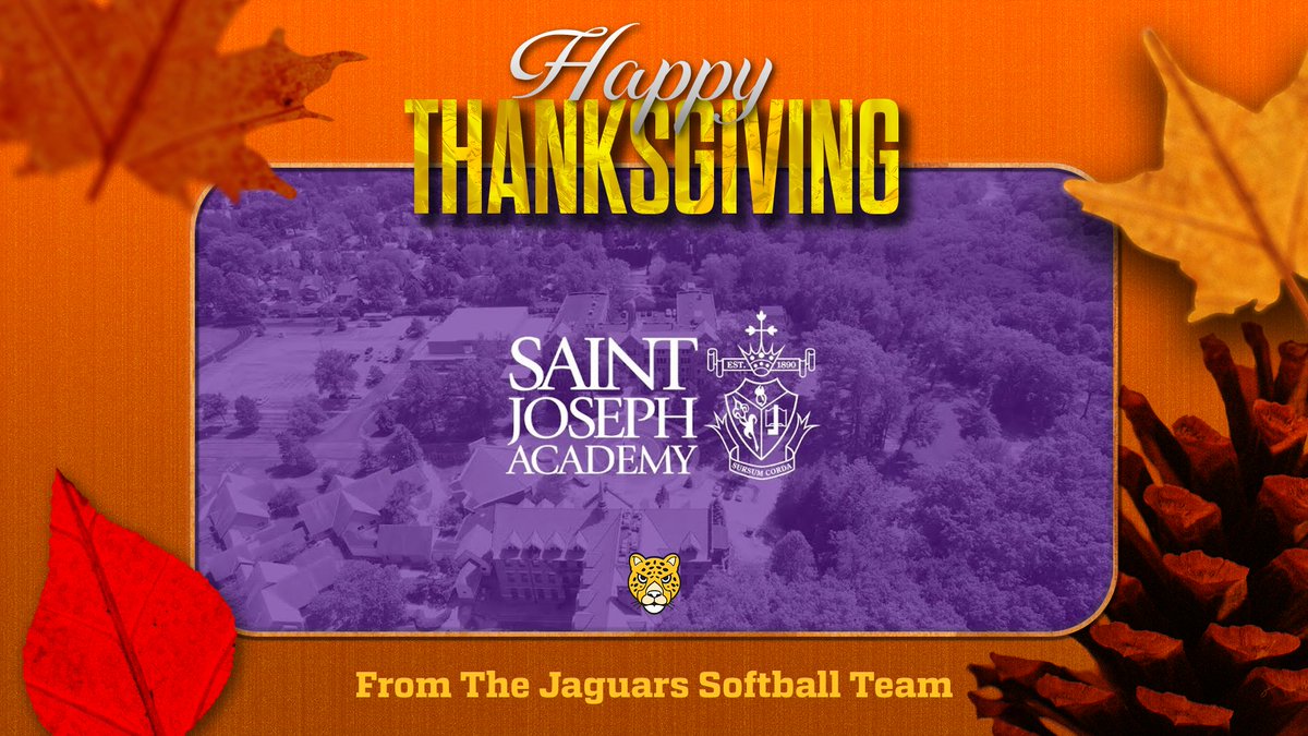 Happy Thanksgiving!!! 🦃🥧
🥎💜💛💜🥎