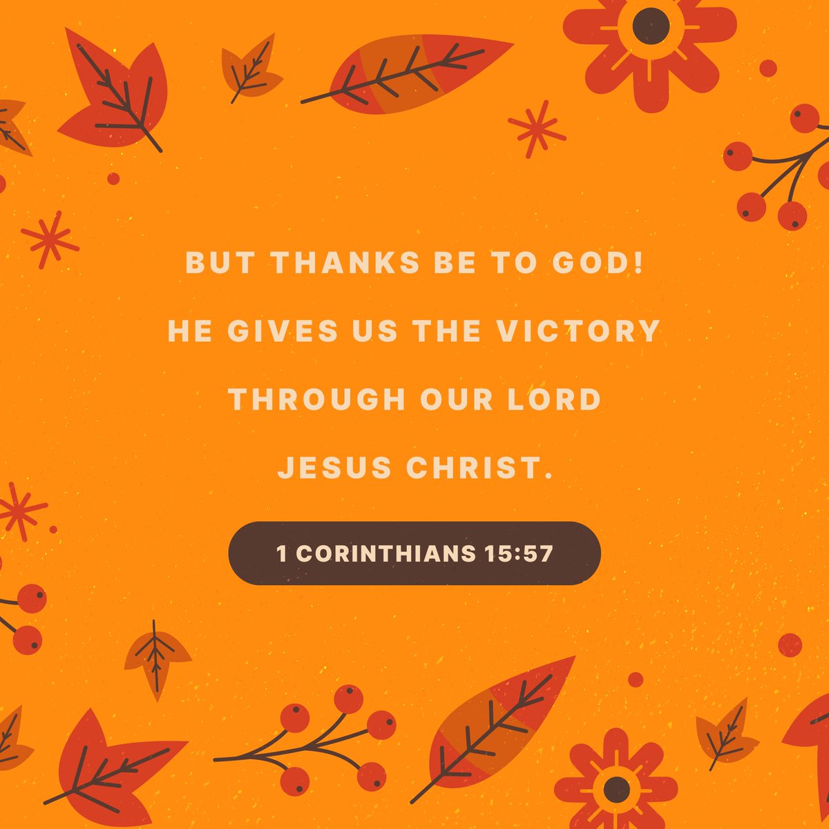 kingofkingstx's tweet photo. Happy Thanksgiving, y’all!
#thanksgiving #thanksgivingdinner #prayer #thanksgivingprayer #thankgod https://t.co/kny8ha57NE