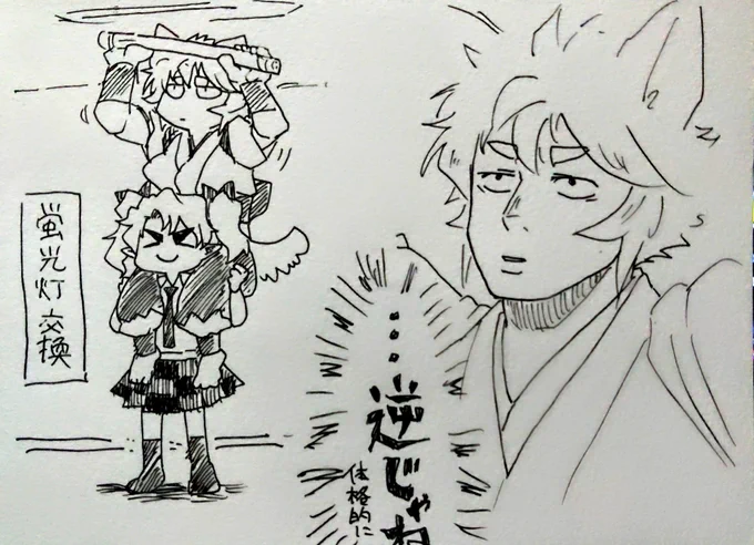 はたもみ の 日常