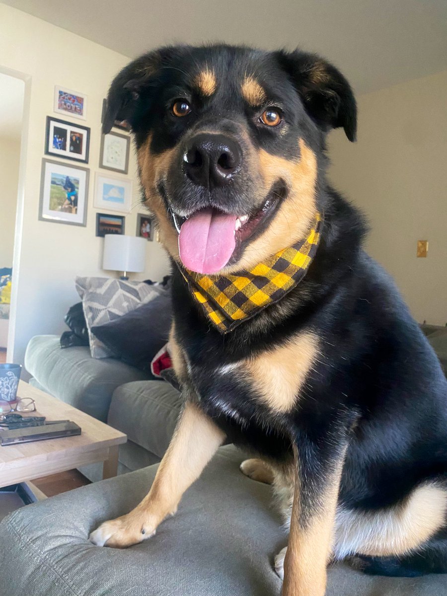 Ms. Doolan tweet media