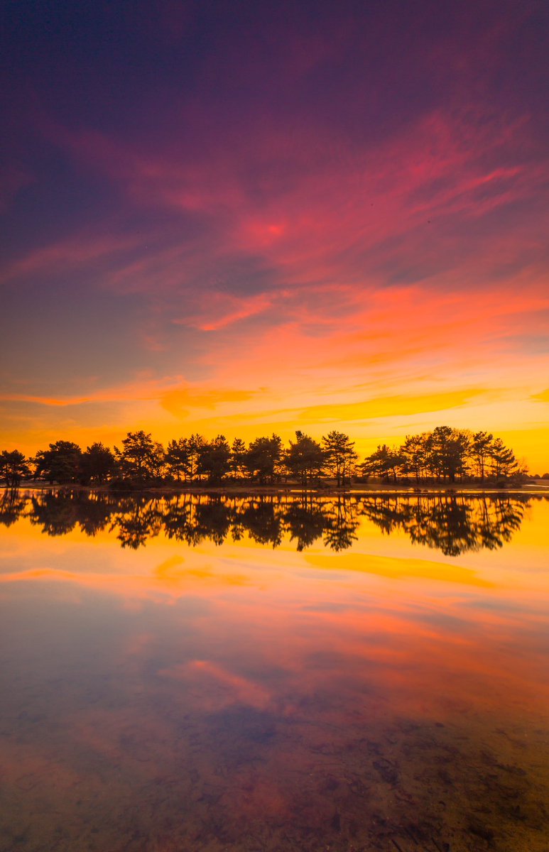 𝐌𝐚𝐭𝐭 𝐏𝐢𝐧𝐧𝐞𝐫 tweet media