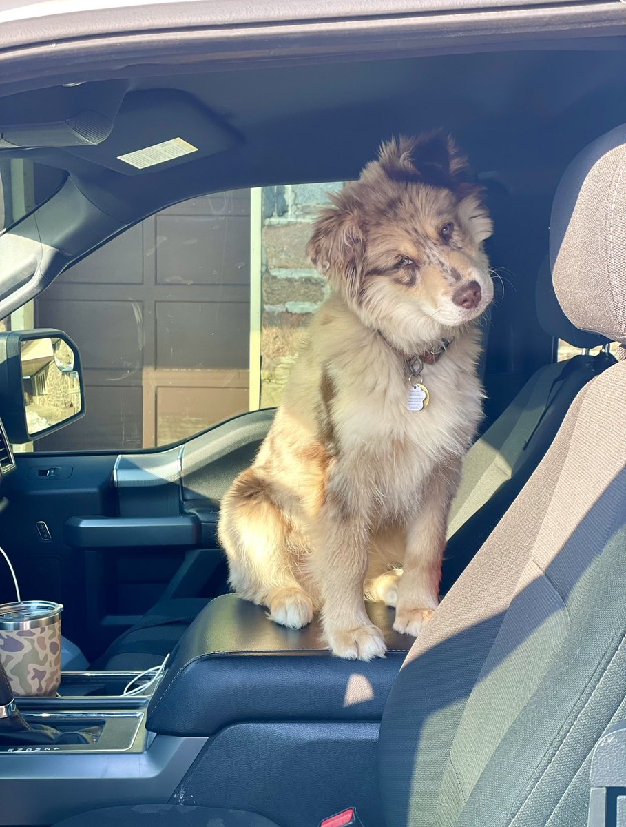 Blake Ulrich tweet media