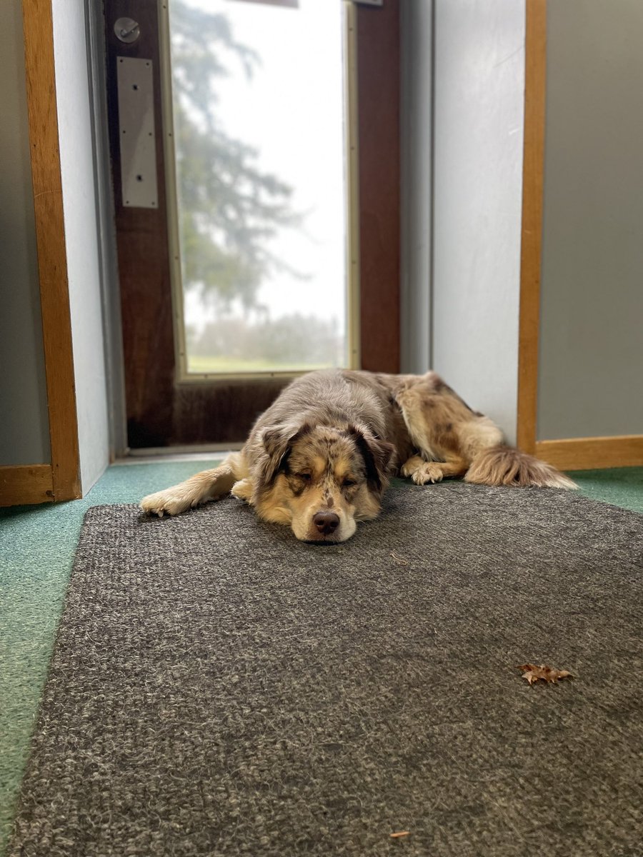 Blake Ulrich tweet media