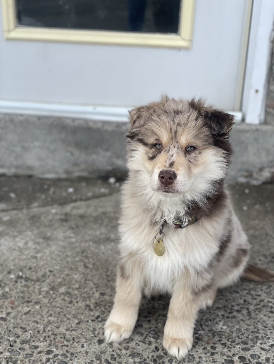 Blake Ulrich tweet media