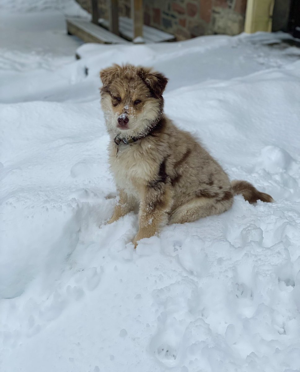 Blake Ulrich tweet media