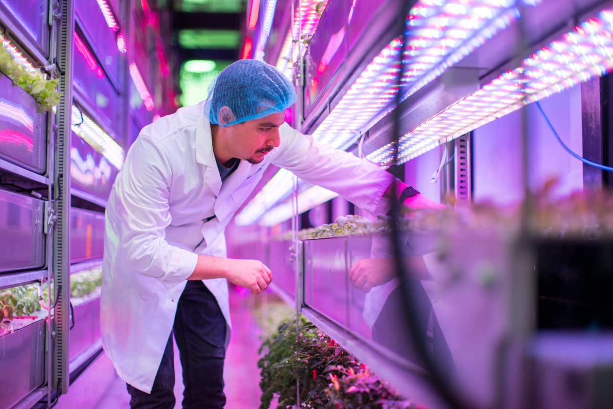 Big thanks to Hortbiz Daily for this reminder of us featuring in the recent <a href="/WIRED/">WIRED</a> 2023 trailblazers article: hortibiz.com/newsitem/news/…

Next stop <a href="/COP28_UAE/">COP28 UAE</a>!