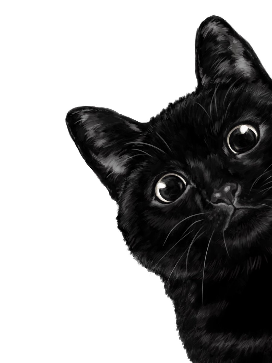 Sneaky Black Cat

society6.com/product/sneaky…

#bignosework #animalportrait #nurseryart #catlover #catlife #catofinstagram #sneakyanimals #illustration #walldecor #cute #procreatedrawing #digitalartist #digitalart #nurserydecor #blackcat #blacklove #kidroomdecor