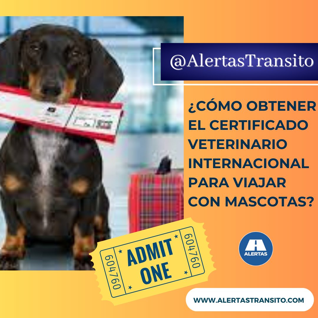AlertasTransito's tweet image. ¿Cómo obtener el Certificado Veterinario Internacional para viajar con mascotas? 🐶🐈🛩

ℹacá 👉
alertastransito.com/2023/11/certif…
.
#AlertasTransito #Transito #CVI