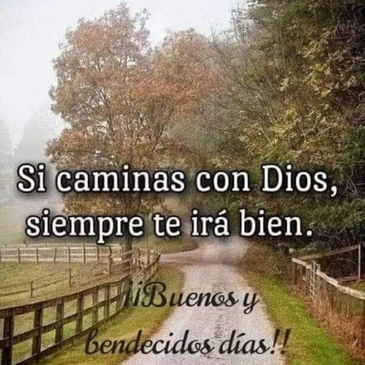 lisrivera0912's tweet photo. #NuevaFotoDePerfil https://t.co/3MjVnDCesu