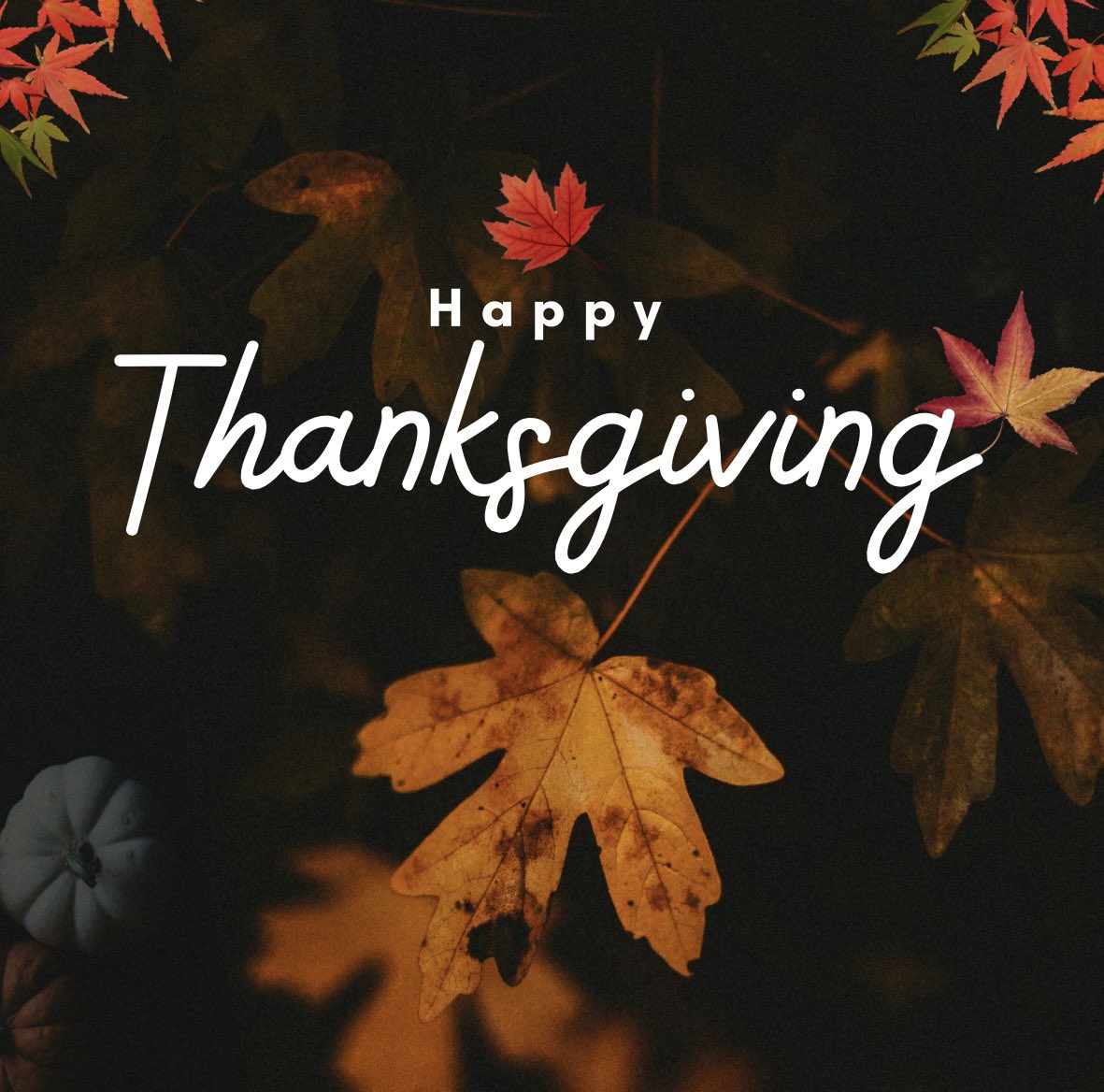 Jolene Mosley (she/her) (@joleneforhoco) on Twitter photo 