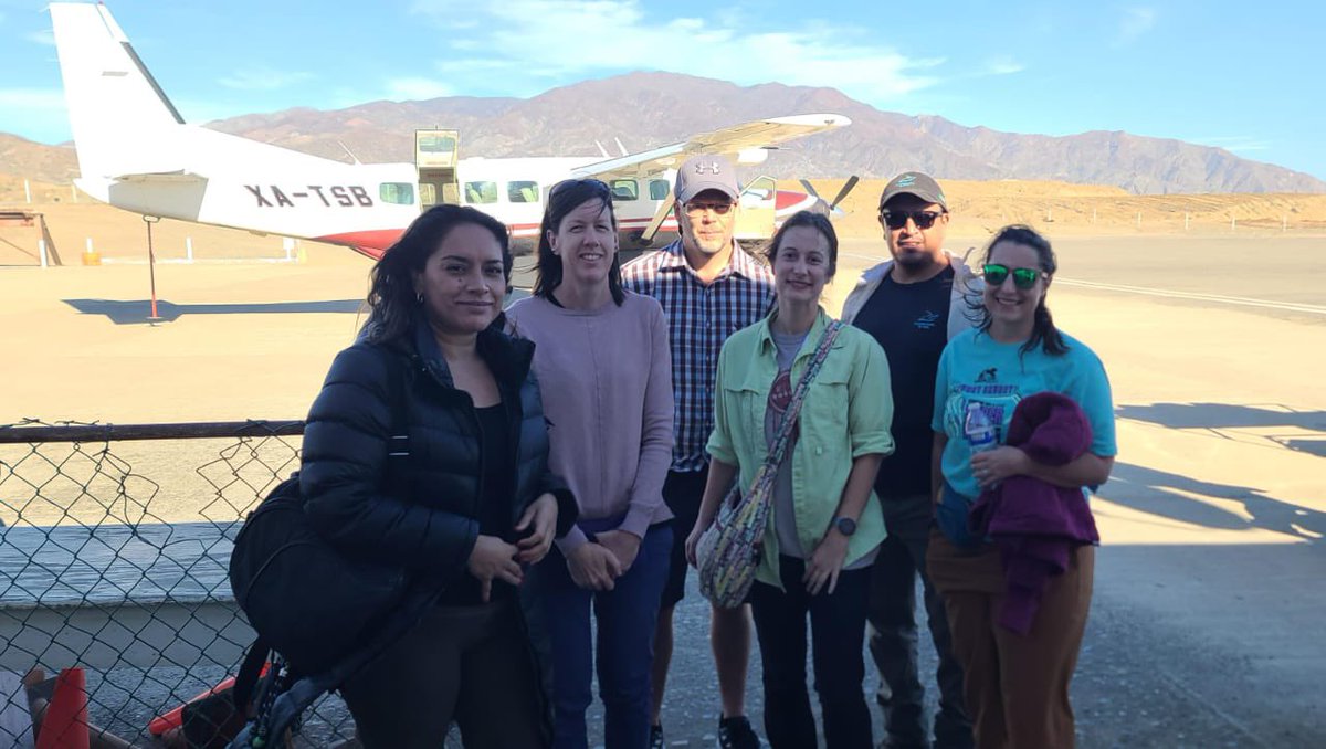 We are privileged to be sampling Pine tree microbiomes on the Islands Cedros and Guadalupe. These islands, off the coast of Mexico, are the ancient home to unique populations of Pinus radiata….. and, hopefully, microbiome associations