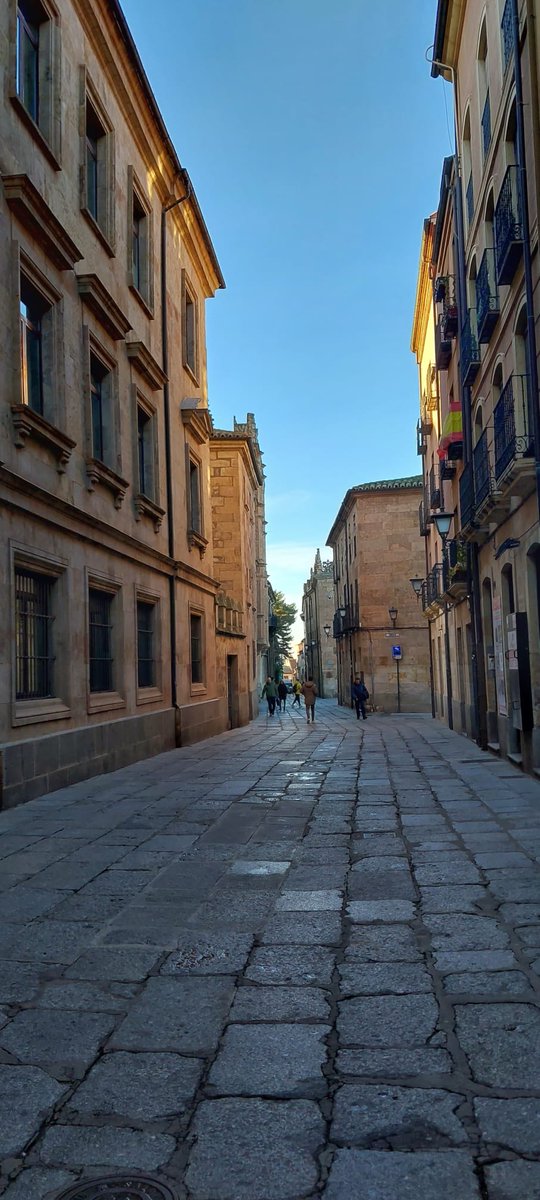 Más de 4000. El otro día hice el cálculo. Más de 4000 mañanas mis huellas han seguido este camino. Y, como yo, muchas otras personas, compañeros y compañeras de la Universidad de Salamanca. Por ellos y para ellos, decidí presentarme a las elecciones al Claustro.