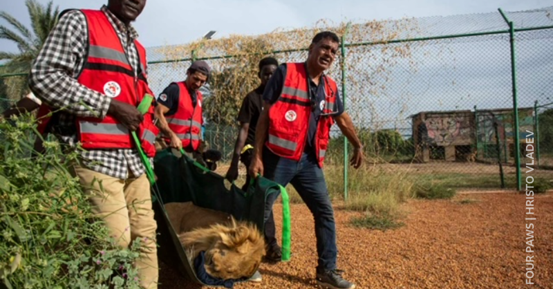BBC World Service tweet media