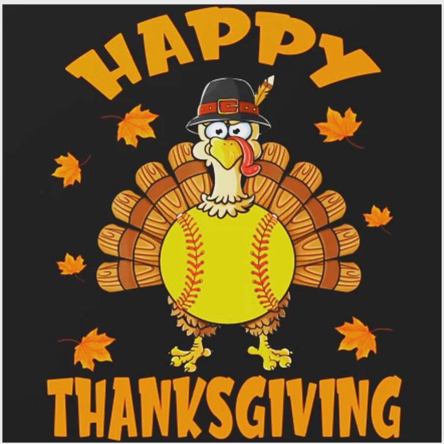 Minerva Softball tweet media