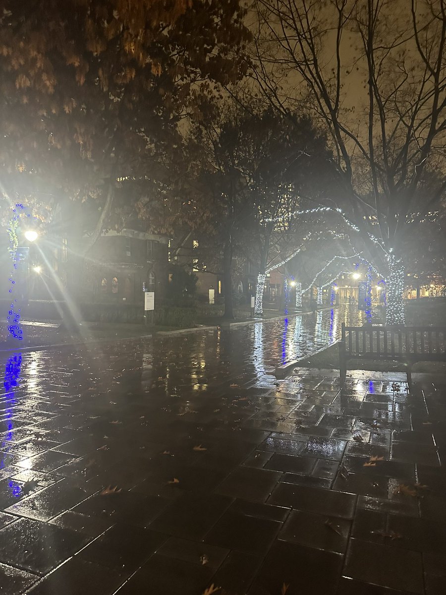 Soilse Nollag🎅 <a href="/UStMikesStudent/">U St. Mike's Students</a> @Trasna23 <a href="/SnaGaeilge/">Seachtain na Gaeilge le Energia</a>