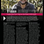 Photo by Can Fisas (@CanFisas)