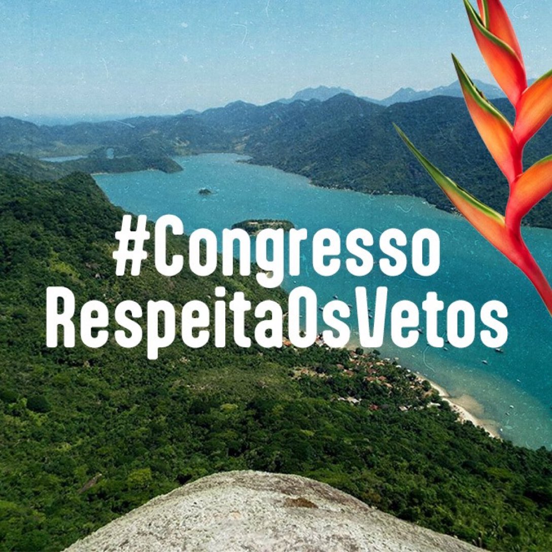 Apremavi's tweet photo. 📢 Não podemos permitir que retrocessos prejudiquem os povos indígenas e o meio ambiente. É hora de agir e defender a justiça e a igualdade. #MarcoTemporalNão #CongressoRespeitaOsVetos https://t.co/sJ6mnxrido