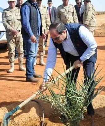 n6t_i's tweet photo. @drhossamsamy65 خير من يستصلح الأرض
هُمَّ "خيار أجناد الأرض". https://t.co/b97xHvJnZd
