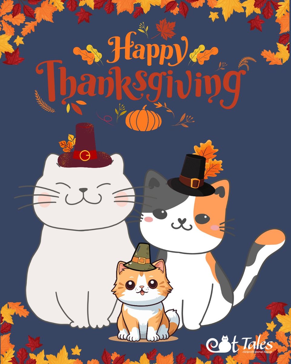 🍁HAPPY THANKSGIVING
from the Cat Tales family to yours. We're thankful 4 our volunteers, fosters, trappers, vet professionals, donators, &amp; adopters. Mostly, we're thankful 4 the opportunity 2 help the kitties that have passed through our lives on the way 2 their furever homes.