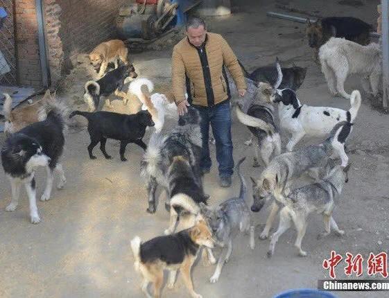 Call_It_Flash's tweet photo. Do you Know ❓

In China, a man named Wang Yan spent over $400,000 on purchasing a slaughterhouse and turned it into an animal rescue centre for dogs. He’s since saved over 2,000 dogs from being butchered for meat.

#Lets_Learn https://t.co/61Enxp85oB