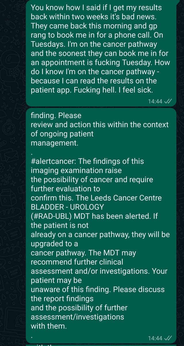 🫖Darling Jeeling🫖 tweet media