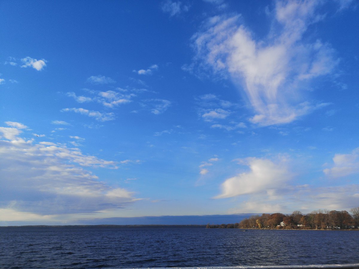 Goooood Morning #FungiFam 🍄☕

I hope you're all waking up feeling #Great &amp; #Grateful on this AWESOME #ThursdayMorning 🎉

#HappyThanksgiving to everyone in the USA !!!

Gobble Gobble 🦃🦃